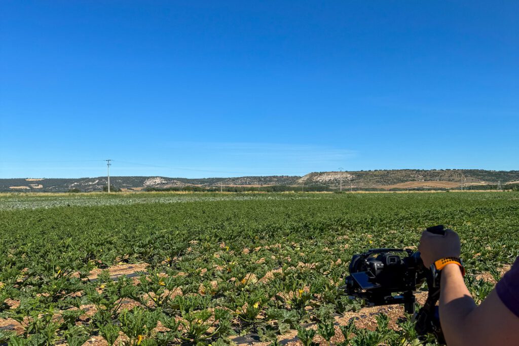 Grabación con estabilizador en el cultivo de Hortalizas Mauri en Castilla y León